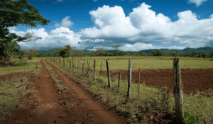 Land