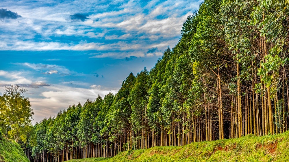 Forest Conservation Fund Grant 2026
