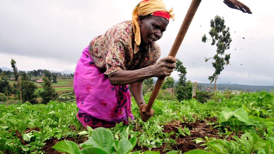Profitable farming Kenya, agriculture investment Kenya, buying land Kenya, agribusiness Africa